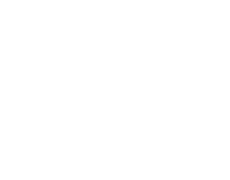organização organização